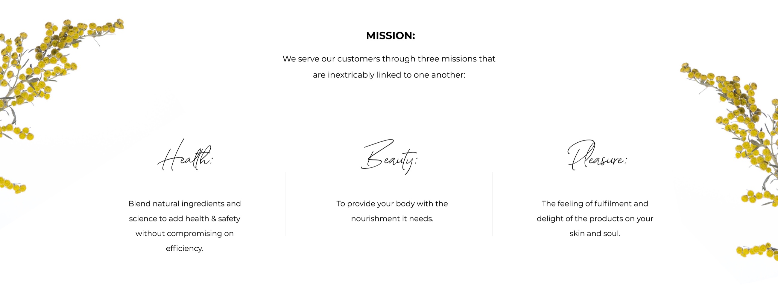 L'esterel mission screen explaining the brand pillars of health, beauty, and pleasure
